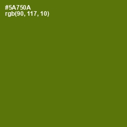 #5A750A - Green Leaf Color Image