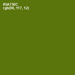 #5A750C - Green Leaf Color Image