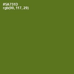 #5A751D - Green Leaf Color Image