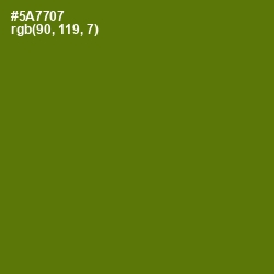 #5A7707 - Green Leaf Color Image