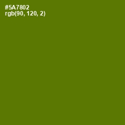 #5A7802 - Green Leaf Color Image