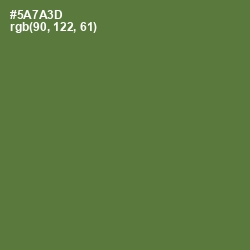 #5A7A3D - Chalet Green Color Image