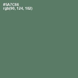 #5A7C66 - Como Color Image