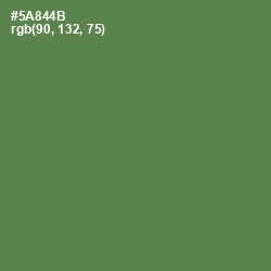 #5A844B - Hippie Green Color Image