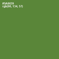 #5A8639 - Olive Drab Color Image
