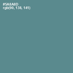 #5A8A8D - Smalt Blue Color Image