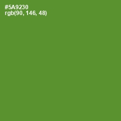 #5A9230 - Olive Drab Color Image