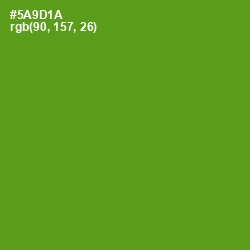 #5A9D1A - Vida Loca Color Image