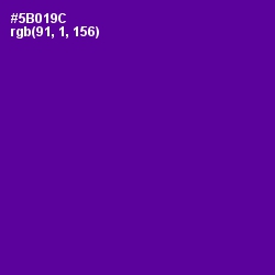 #5B019C - Pigment Indigo Color Image