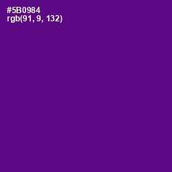 #5B0984 - Pigment Indigo Color Image