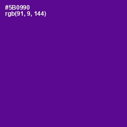#5B0990 - Pigment Indigo Color Image