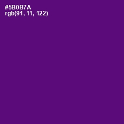 #5B0B7A - Honey Flower Color Image