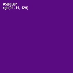 #5B0B81 - Pigment Indigo Color Image
