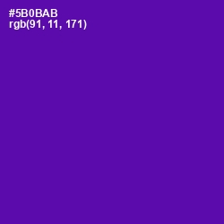 #5B0BAB - Purple Color Image