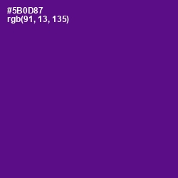 #5B0D87 - Pigment Indigo Color Image