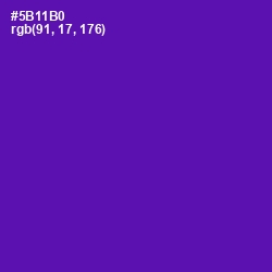 #5B11B0 - Purple Color Image