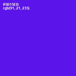 #5B15EB - Purple Heart Color Image