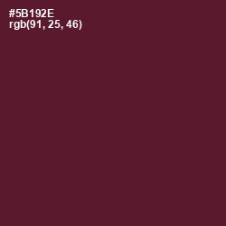 #5B192E - Wine Berry Color Image