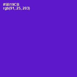 #5B19CB - Purple Heart Color Image