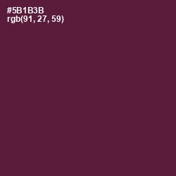 #5B1B3B - Wine Berry Color Image