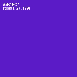 #5B1BC7 - Purple Heart Color Image