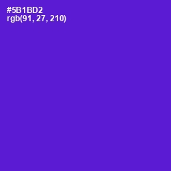 #5B1BD2 - Purple Heart Color Image