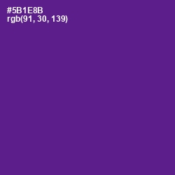 #5B1E8B - Pigment Indigo Color Image