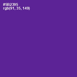 #5B2395 - Daisy Bush Color Image