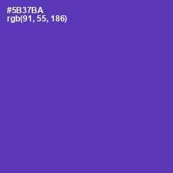 #5B37BA - Royal Purple Color Image