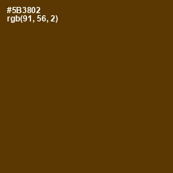#5B3802 - Saddle Brown Color Image