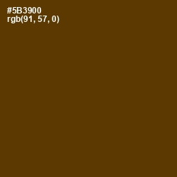 #5B3900 - Saddle Brown Color Image