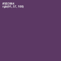 #5B3964 - Voodoo Color Image