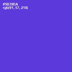 #5B39DA - Purple Heart Color Image