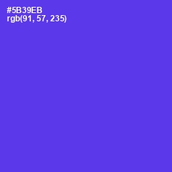 #5B39EB - Purple Heart Color Image