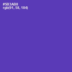 #5B3AB8 - Royal Purple Color Image