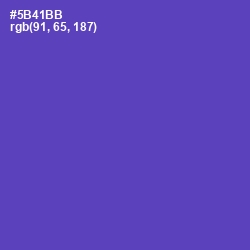 #5B41BB - Blue Violet Color Image