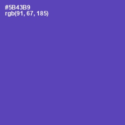 #5B43B9 - Blue Violet Color Image