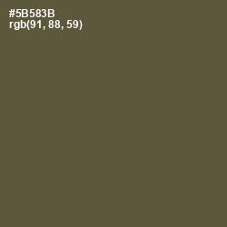 #5B583B - Hemlock Color Image