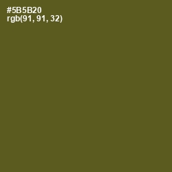 #5B5B20 - Woodland Color Image