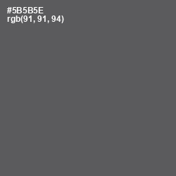 #5B5B5E - Chicago Color Image