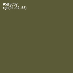 #5B5C37 - Verdigris Color Image