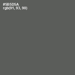 #5B5D5A - Chicago Color Image