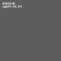 #5B5E5B - Chicago Color Image