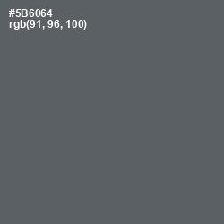 #5B6064 - Shuttle Gray Color Image