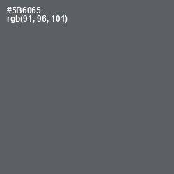 #5B6065 - Shuttle Gray Color Image