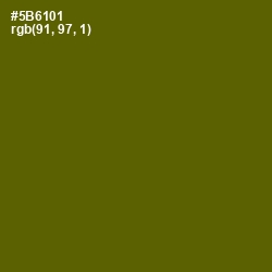 #5B6101 - Green Leaf Color Image