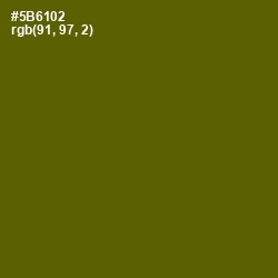 #5B6102 - Green Leaf Color Image