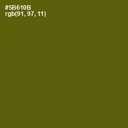 #5B610B - Green Leaf Color Image