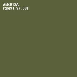 #5B613A - Chalet Green Color Image