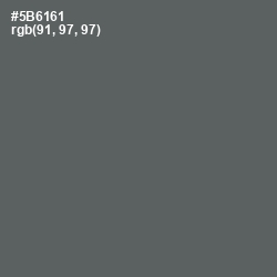 #5B6161 - Shuttle Gray Color Image